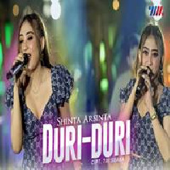 Download Lagu Shinta Arsinta - Duri Duri Ft Wahana Musik Terbaru