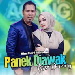 Mira Putri - Panek Diawak Kayo Diurang Ft Brodin Ageng Music.mp3
