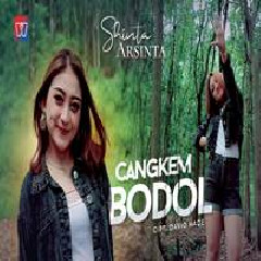 Download Lagu Shinta Arsinta - Cangkem Bodol Terbaru
