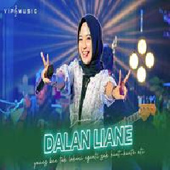 Damara De - Dalan Liyane Ft Vip Music.mp3