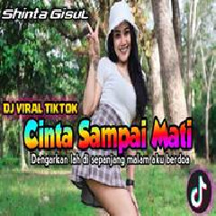 Shinta Gisul - Dj Remix Cinta Sampai Mati.mp3