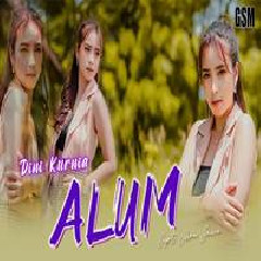 Download Lagu Dini Kurnia - Dj Alum Terbaru