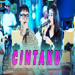 Download Lagu Fani Bhayangkara - Cintaku Ft Vivi Artika Terbaru