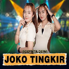Download Lagu Rosynta Dewi - Joko Tingkir Ft Bintang Fortuna Terbaru