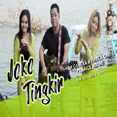 Download Lagu Fira Cantika & Nabila Cahya - Joko Tingkir Ngombe Dawet Ft Bajol Ndanu Terbaru