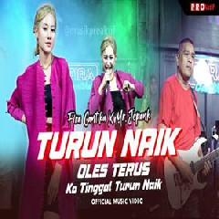 Download Lagu Fira Cantika - Turun Naik Oles Terus (Ko Tinggal Turun Naik) Ft Mr Jepank Terbaru