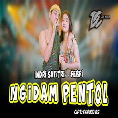 Indri Safitri - Ngidam Pentol Feat Febri.mp3