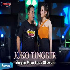 Shepin Misa - Joko Tingkir Feat Glowoh Om SAVANA Blitar.mp3