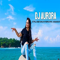 Download Lagu Dj Reva - Dj Aurora Setengah Kendang Asik Buat Santai Terbaru