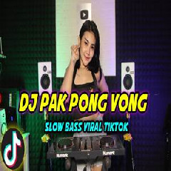 Shinta Gisul - Dj Pak Pong Vong Viral Tiktok.mp3