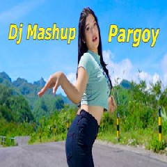 Download Lagu Imelia AG - Dj Pargoy Mashup Jedag Jedug Terbaru Terbaru