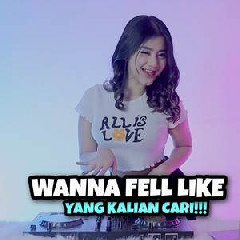 Download Lagu Dj Imut - Dj Wanna Fell Like Viral Tiktok Yang Kalian Cari Terbaru