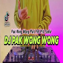 Download Lagu Dj Didit - Dj Pak Wong Wong Pluit Prit Prit Parkir Tiktok Viral Full Bass 2022 Terbaru