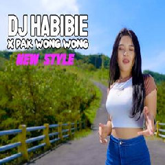 Download Lagu Imelia AG - Dj Habibie X Pak Wong Wong New Remix Terbaru