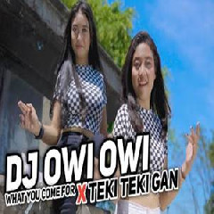 Download Lagu Kelud Music - Dj What You Come X Teki Gan Pargoy Santuy Bass Jedug Terbaru
