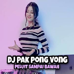 Download Lagu Dj Imut - Dj Pak Pong Vong Sampai Bawah 2022 Terbaru