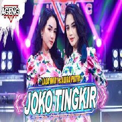 Arlida Putri & Lala Widy - Joko Tingkir Ft Ageng Music.mp3