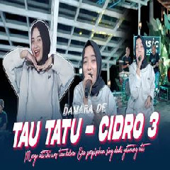 Download Lagu Damara De - Medley Tau Tatu Cidro 3 Terbaru