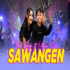 Farel Prayoga - Sawangen Ft Lutfiana Dewi.mp3
