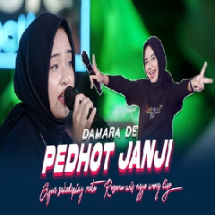 Download Lagu Damara De - Pedhot Janji (Lam Laman Esemmu Ning Atiku) Terbaru