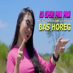 Download Lagu Dj Reva - Dj Ciperi Pam Pam Bass Horeg Paling Dicari Buat Karnaval Terbaru