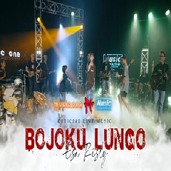 Download Lagu Esa Risty - Bojoku Lungo Terbaru