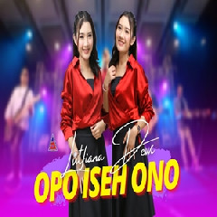 Download Lagu Lutfiana Dewi - Opo Iseh Ono Terbaru