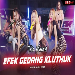 Trio Macan - Efek Gedang Kluthuk.mp3