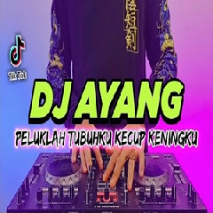 Dj Didit - Dj Peluklah Tubuhku Kecup Keningku Tiktok Viral Remix Full Bass 2022.mp3