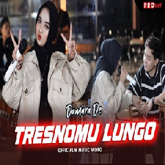Download Lagu Damara De - Tresnomu Lungo Terbaru