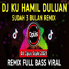 Download Lagu Dj Opus - Dj Ku Hamil Duluan Sudah 3 Bulan Remix Full Bass Terbaru