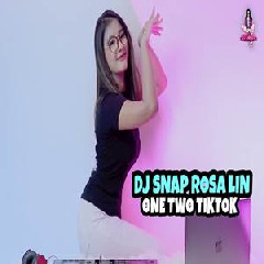 Dj Imut - Dj Snap Rosa Lin One Two Tiktok Remix.mp3