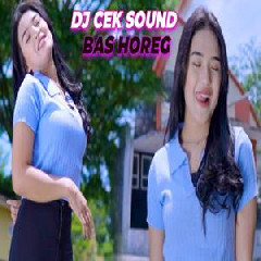 Download Lagu Imelia AG - Dj Cek Sound Bass Horeg Troboy Enak Buat Pargoy Terbaru