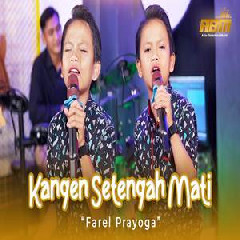 Download Lagu Farel Prayoga - Kangen Setengah Mati Ska Reggae Terbaru