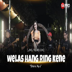 Dara Ayu - Welas Hang Ring Kene Ska Koplo.mp3