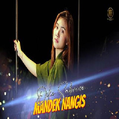 Download Lagu Dike Sabrina - Mandek Nangis Terbaru