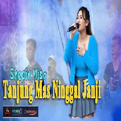Download Lagu Shepin Misa - Tanjung Mas Ninggal Janji Ft Om SAVANA Blitar Terbaru