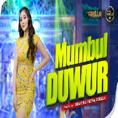Download Lagu Difarina Indra - Mumbul Duwur Ft Om Adella Terbaru