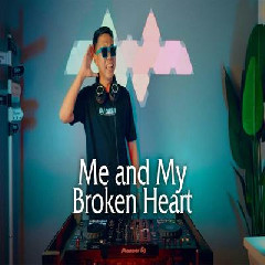 Dj Desa - Dj Me And My Broken Heart Disco Tanah.mp3