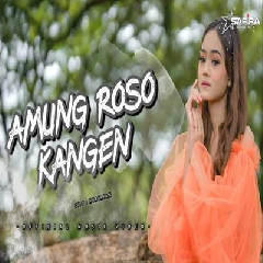 Download Lagu Safira Inema - Amung Roso Kangen Terbaru