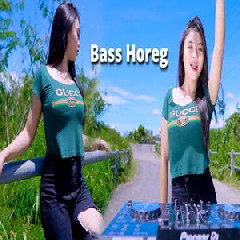 Download Lagu Dj Reva - Dj Zoom Paling Di Cari Buat Cek Sound Bass Horeg Terbaru