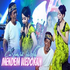 Download Lagu Lala Widy - Mendem Wedokan Ft Sodiq New Monata Terbaru