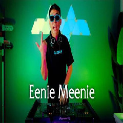 Download Lagu Dj Desa - Dj Eenie Meenie Terbaru
