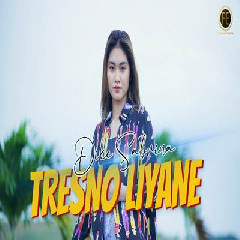 Download Lagu Dike Sabrina - Tresno Liyane Terbaru