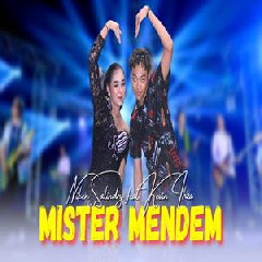 Download Lagu Niken Salindry - Mister Mendem Ft Kevin Ihza Terbaru
