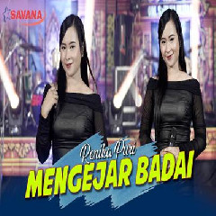 Download Lagu Renika Puri - Mengejar Badai Ft Om SAVANA Blitar Terbaru