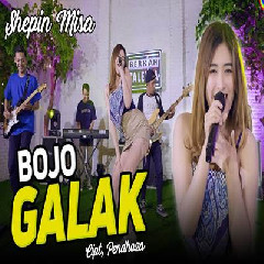 Download Lagu Shepin Misa - Bojo Galak Terbaru
