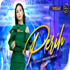 Download Lagu Sherly KDI - Perih Ft Om Adella Terbaru