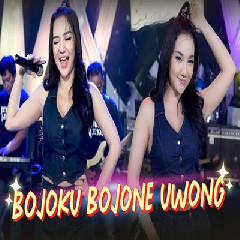 Download Lagu Lala Widy - Bojoku Bojone Uwong Terbaru
