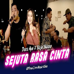 Download Lagu Dara Ayu - Sejuta Rasa Cinta Ft Bajol Ndanu Terbaru